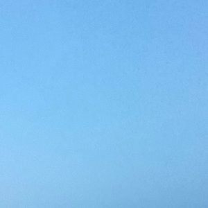 Meet your Posher, Molly